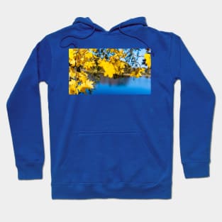 Yellow maple leaves in autumn season Hoodie